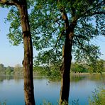 Naturpark Schwalm-Nette | Fotoworkshop - Naturfotografie