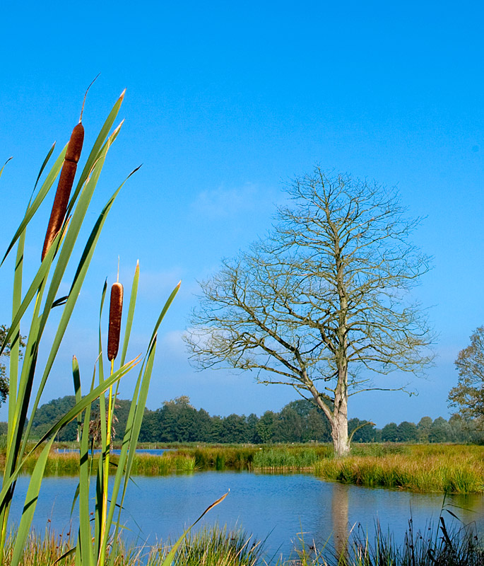 Naturpark Schwalm Nette - Wasserblicke und Wasserwelten