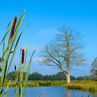 Naturpark Schwalm Nette - Wasserblicke und Wasserwelten