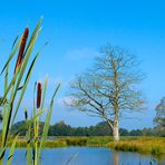 Naturpark Schwalm Nette - Wasserblicke und Wasserwelten