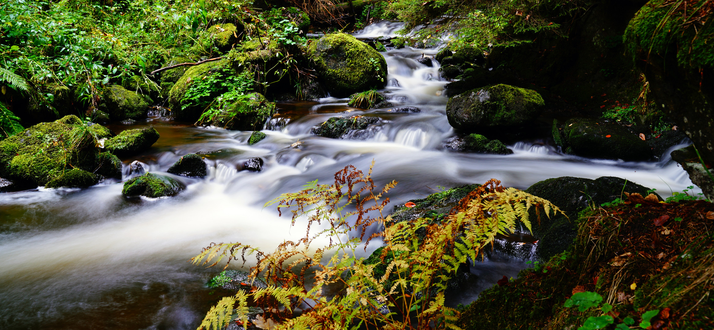 Naturpark Schwarzwald