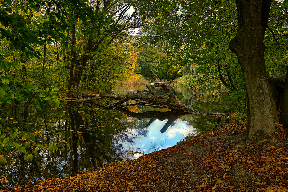 Naturpark Seebenstein