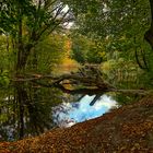 Naturpark Seebenstein