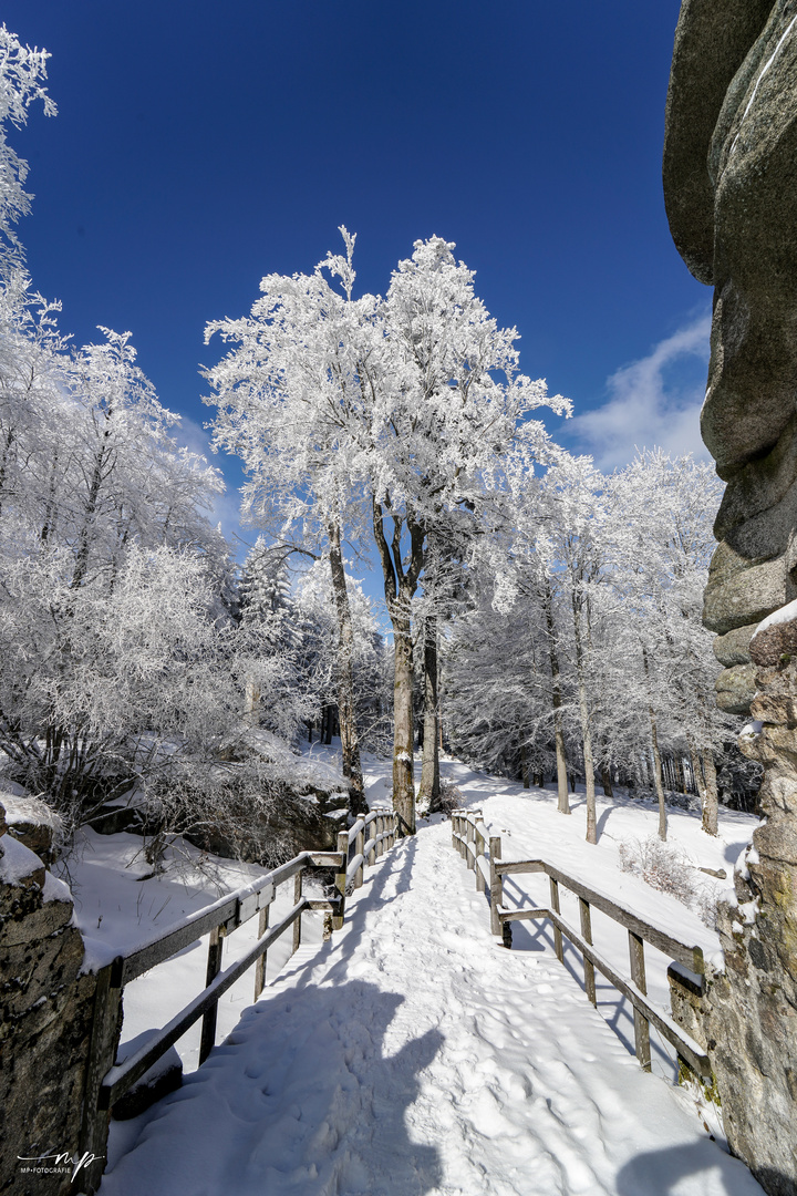 Naturpark Steinwald im Winter auf der "Burgruine Weissenstein"