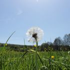 Naturpark Stromberg-Heuchelberg