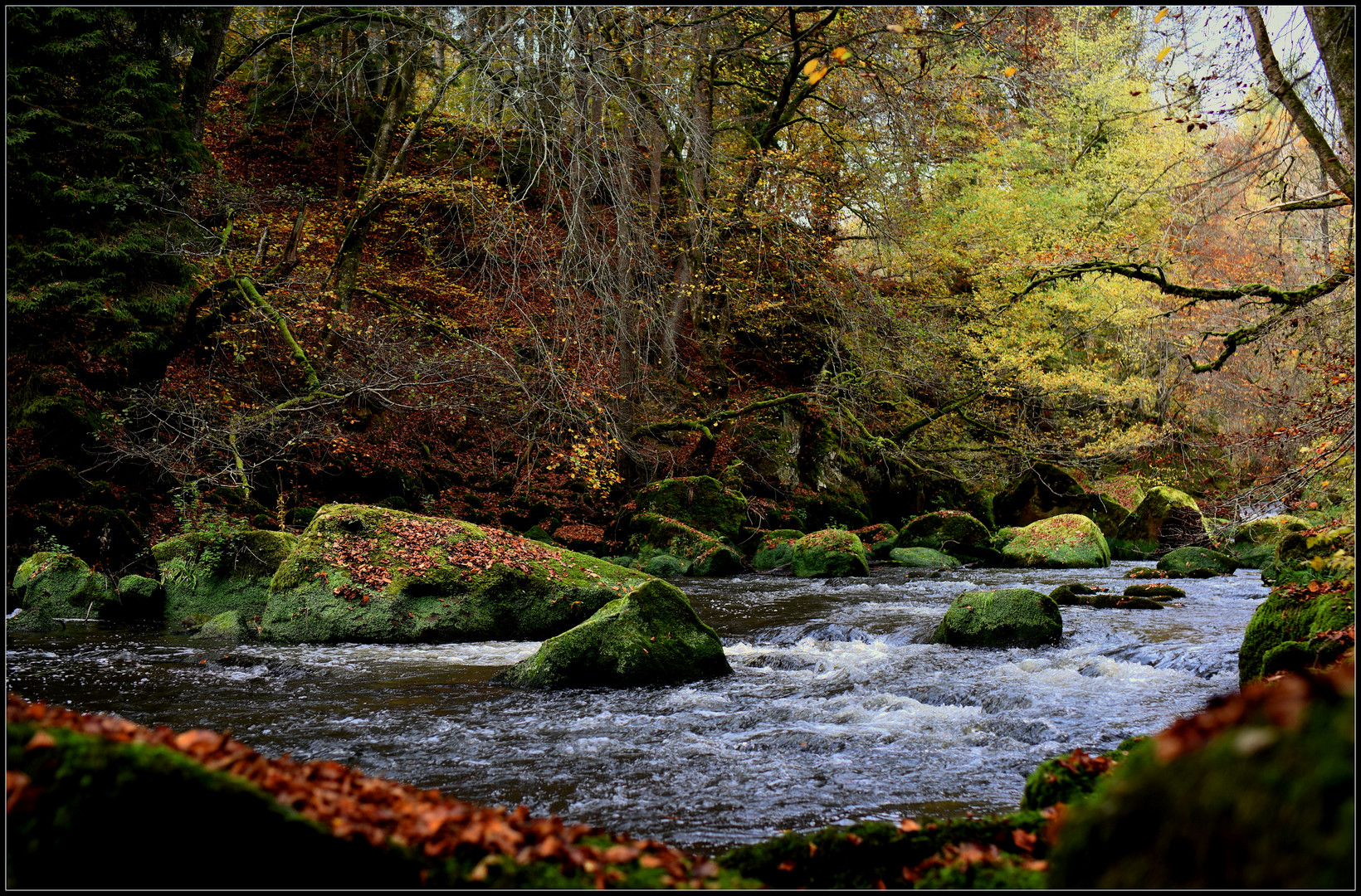 Naturpark Südeifel