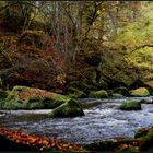 Naturpark Südeifel