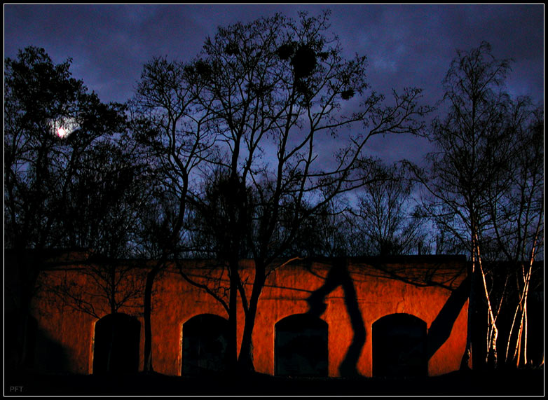 Naturpark Südgelände in Schöneberg 2