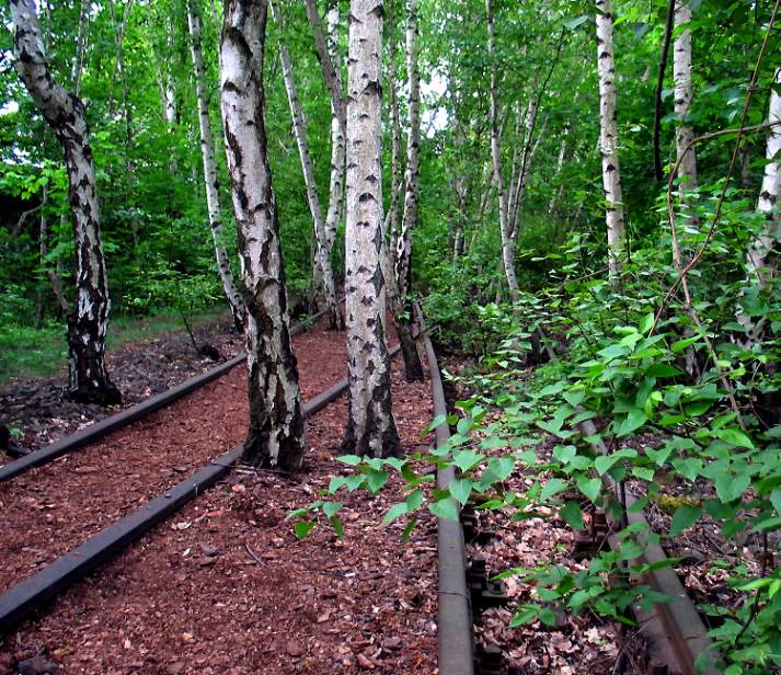 Naturpark Südgelände in Schöneberg