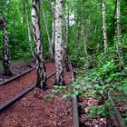 Naturpark Südgelände in Schöneberg