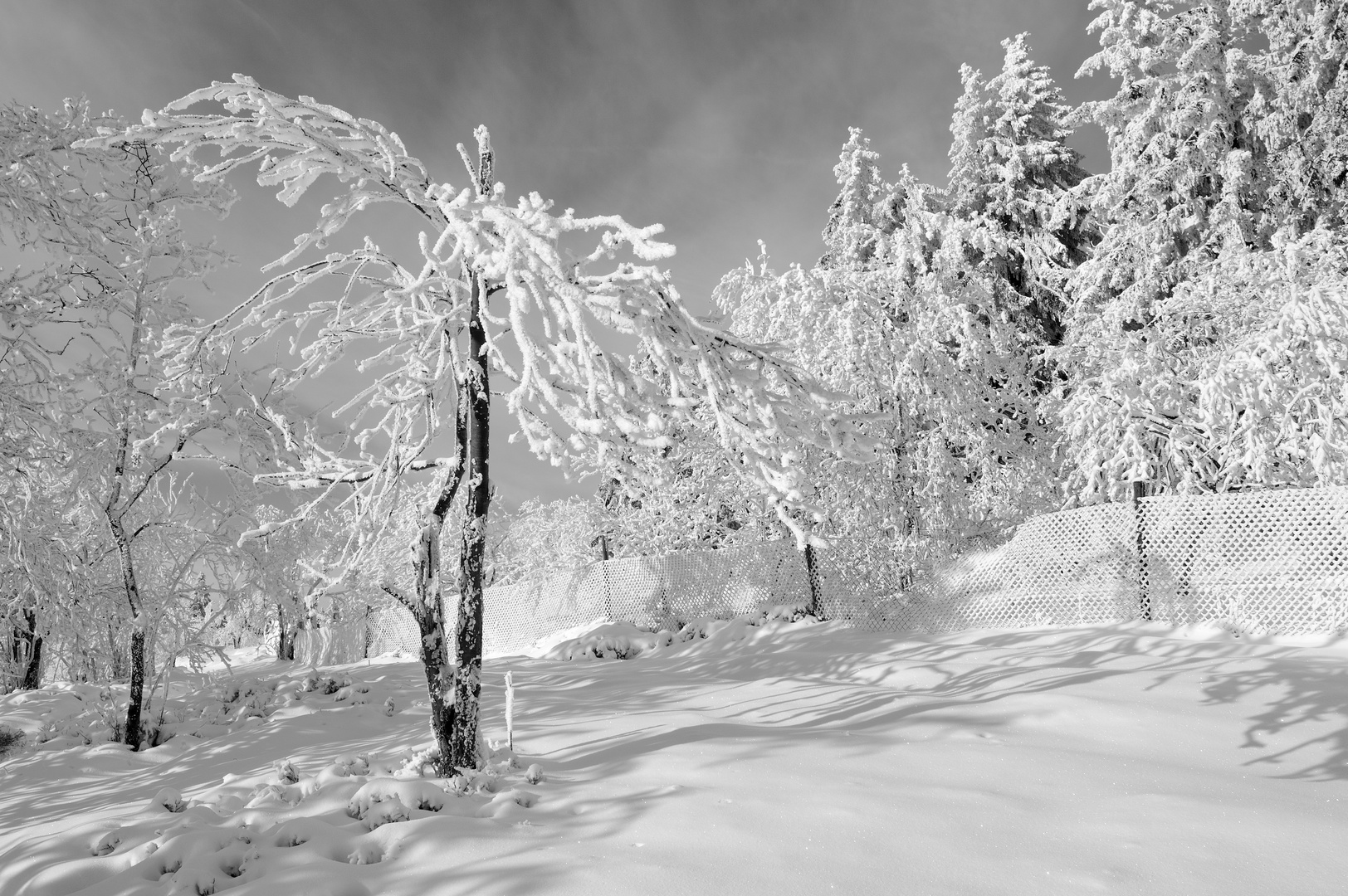 Naturpark Taunus