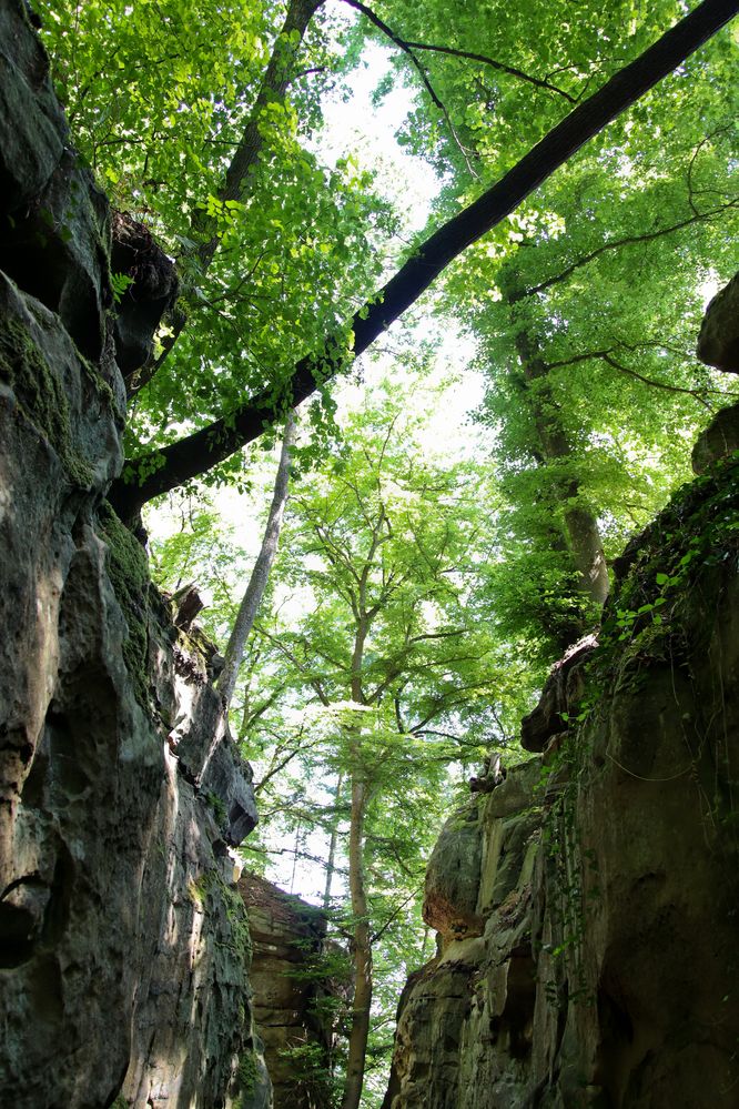 Naturpark Teufelsschlucht - Eingang zur Schlucht #2