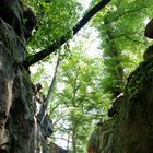 Naturpark Teufelsschlucht - Eingang zur Schlucht #2