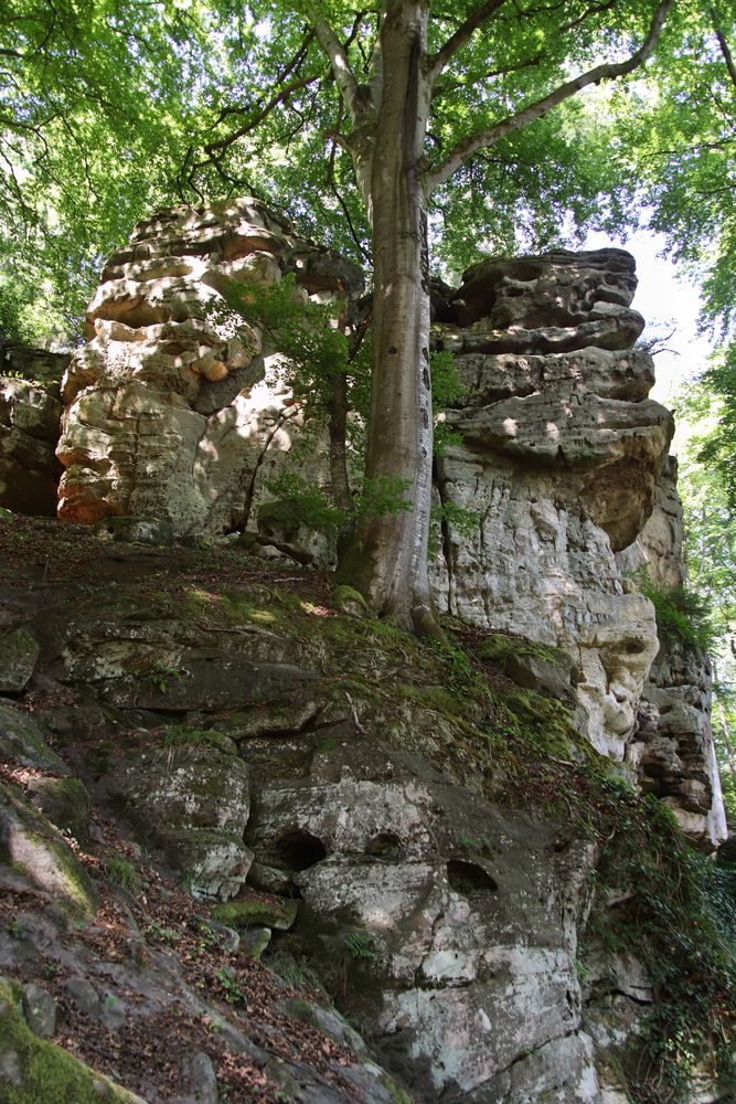 Naturpark Teufelsschlucht - Felsformation N°14