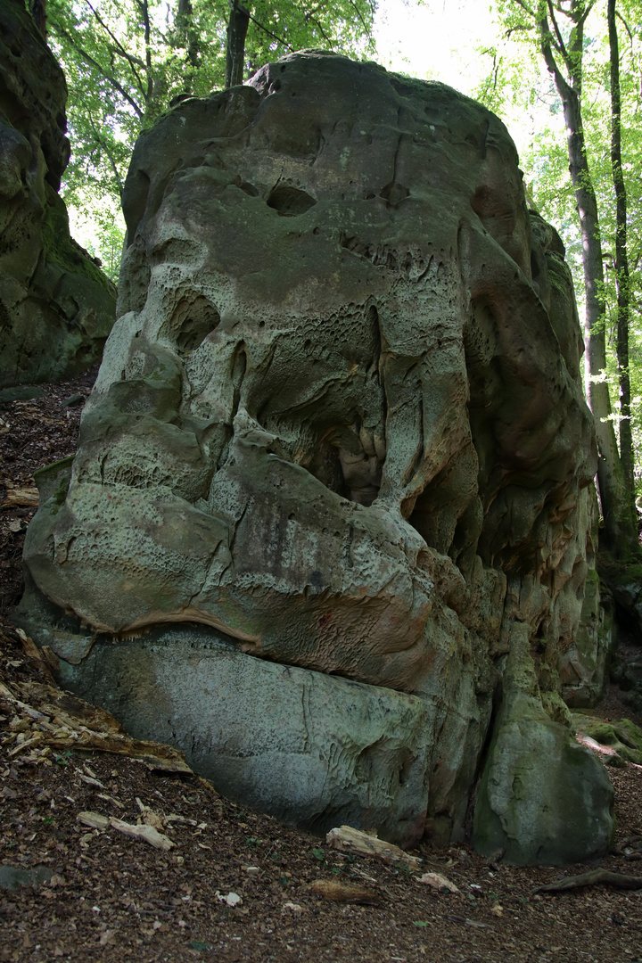 Naturpark Teufelsschlucht - Felsformation N°9