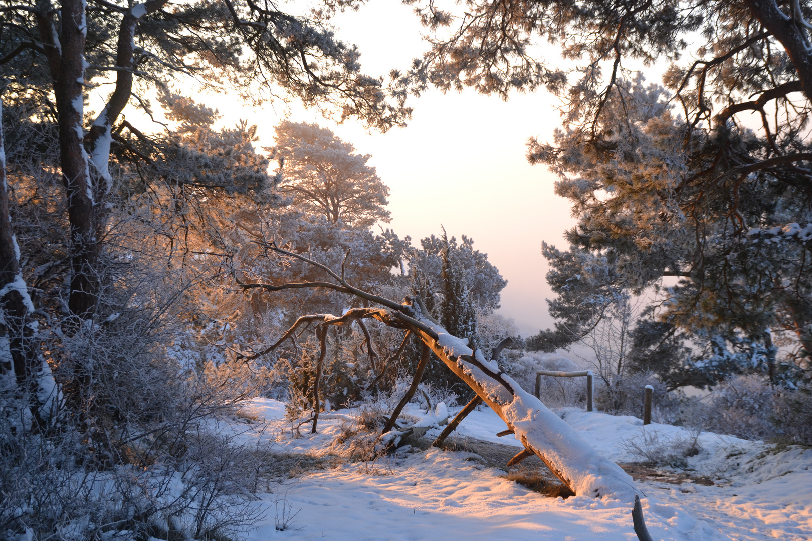 Naturpark Usedom