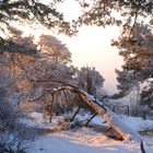 Naturpark Usedom