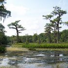 Naturpark Wakulla Springs in Florida