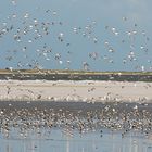 Naturpark Wattenmeer