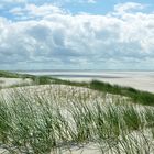 Naturpark Wattenmeer