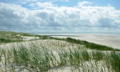 Naturpark Wattenmeer