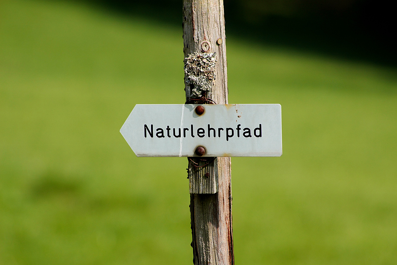 Naturpfad auf dem Raichberg