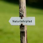 Naturpfad auf dem Raichberg