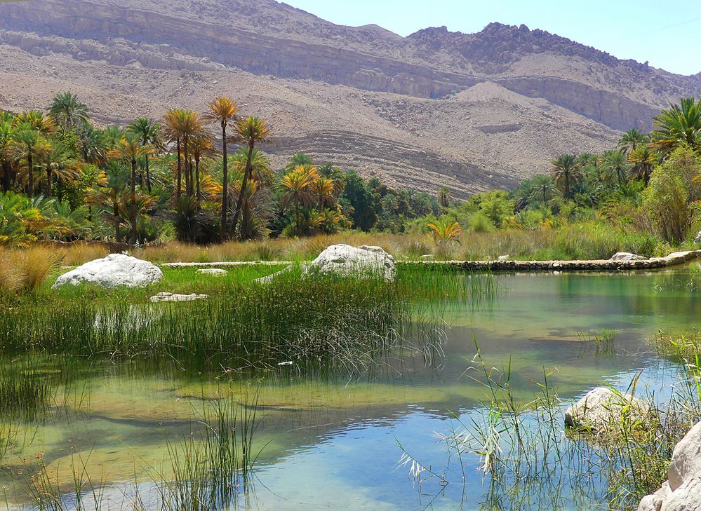 Naturpool Wadi Bani Khalid