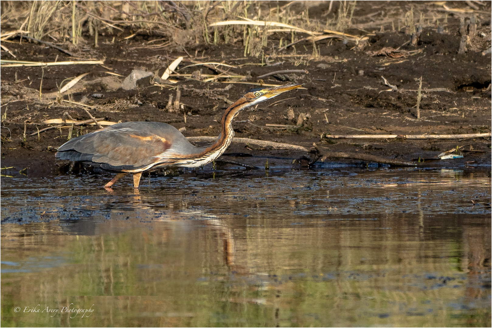 Naturreservat Assuan