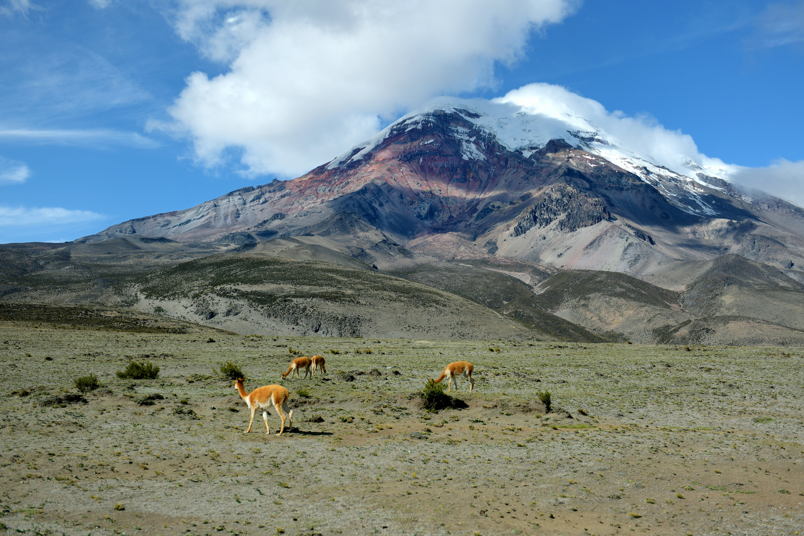 Naturreservat Chimborazo