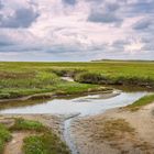 Naturreservat De Slufter auf Texel