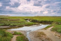 Naturreservat De Slufter auf Texel