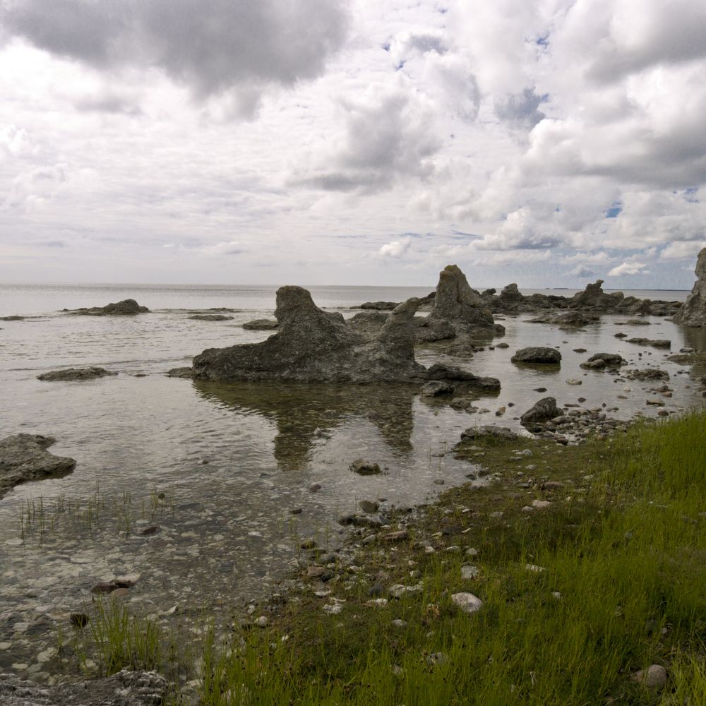 Naturreservat Folhamma auf Gotland mit seinem Raukenfeld 3