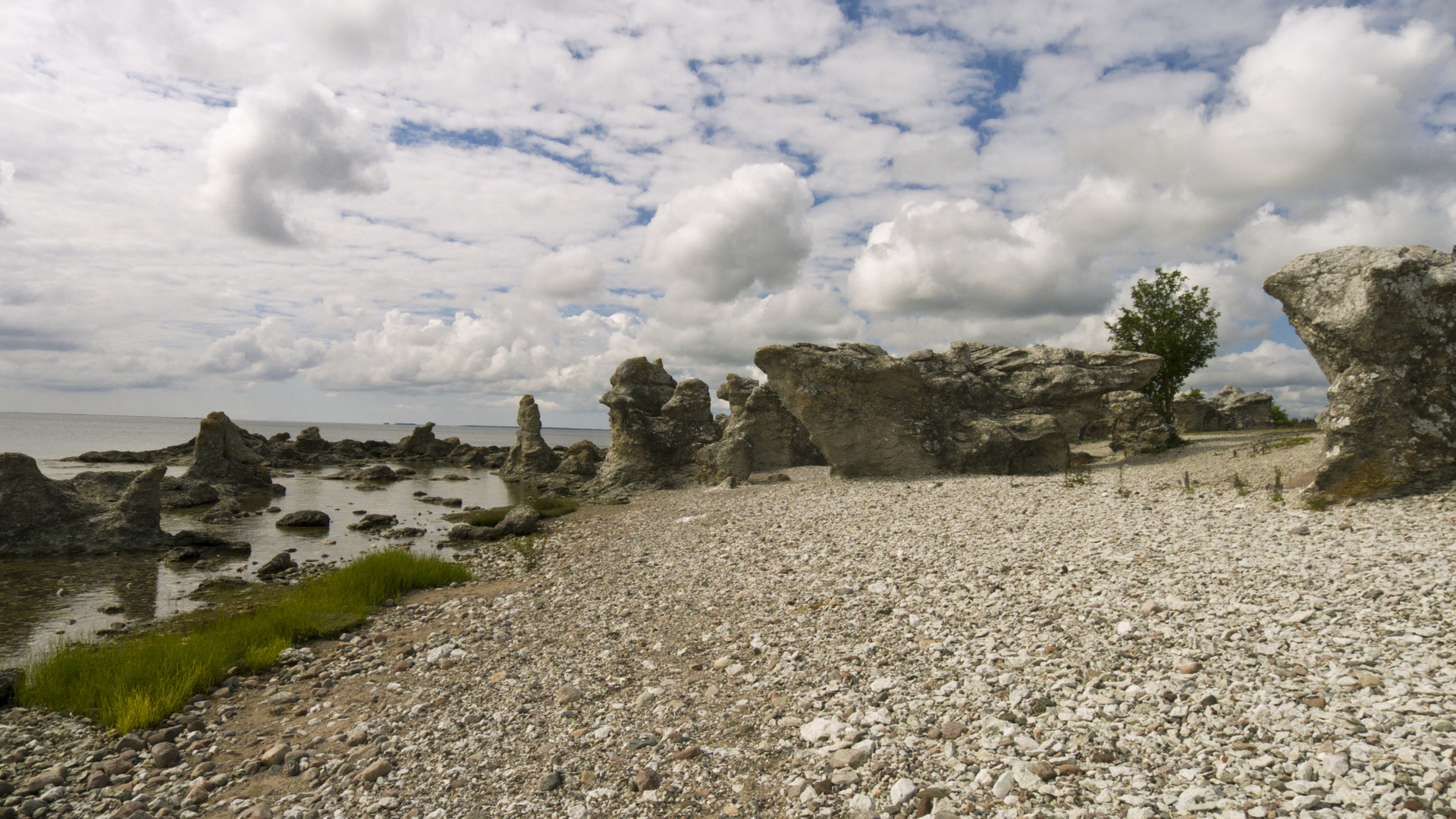 Naturreservat Folhammar auf Gotland mit seinem Raukenfeld 1