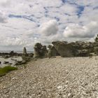 Naturreservat Folhammar auf Gotland mit seinem Raukenfeld 1