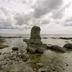 Naturreservat Folhammar auf Gotland mit seinem Raukenfeld 2