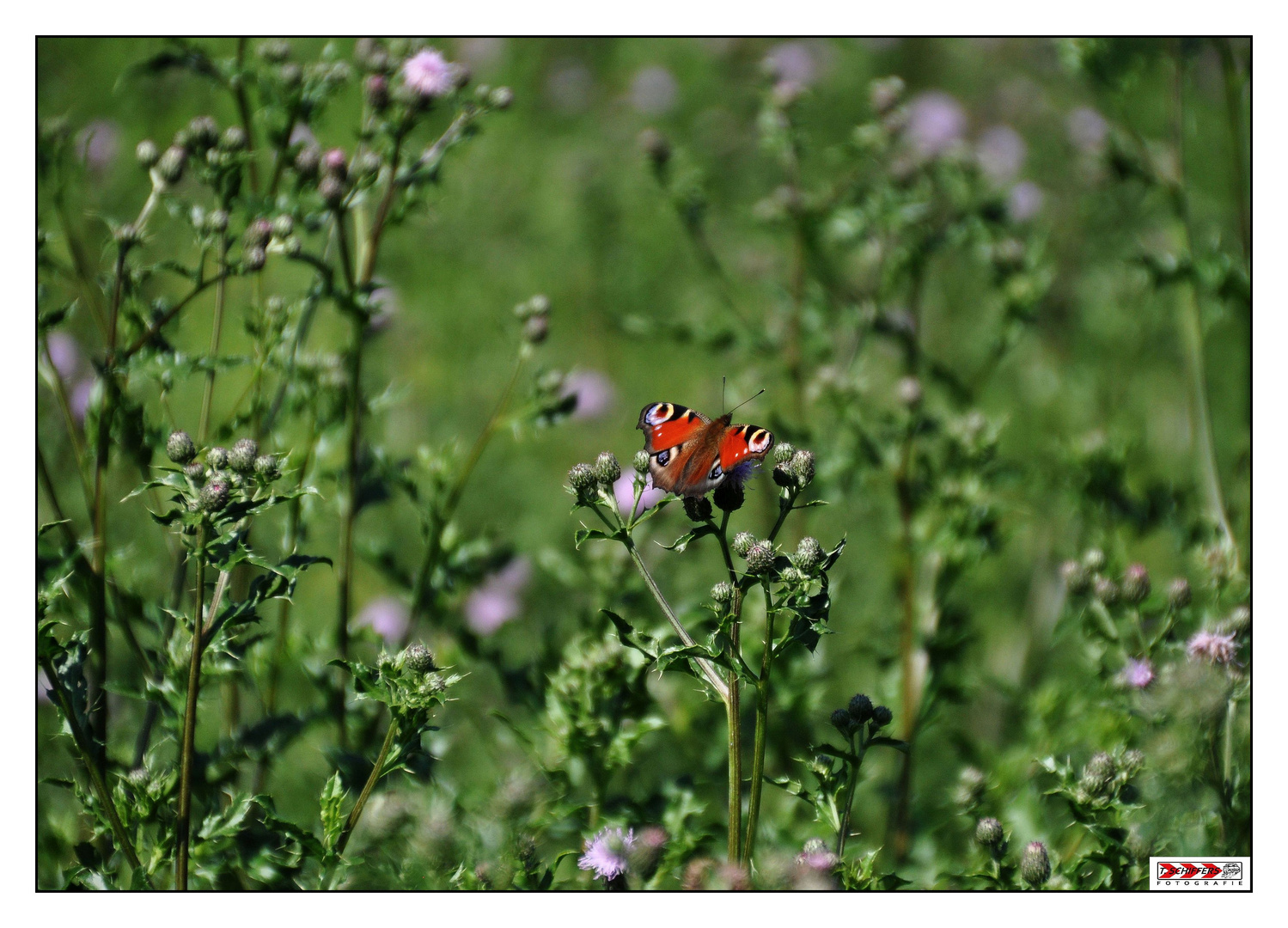 Naturreservat Geisterdörfer