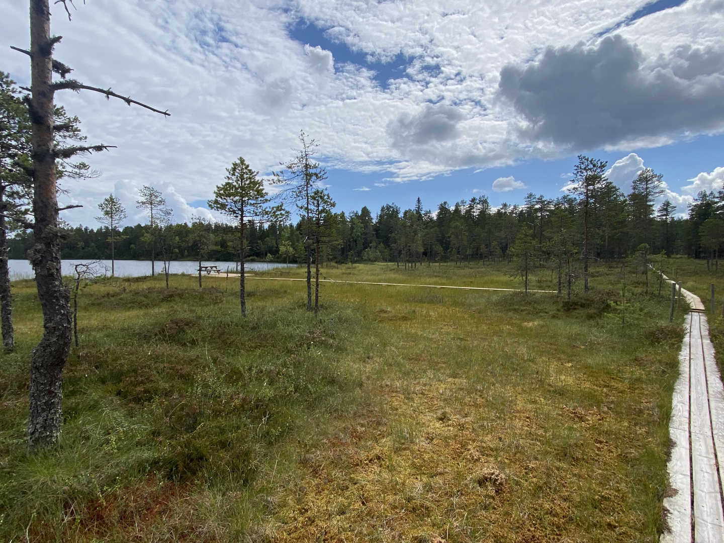Naturreservat Grönklitt bei Orsa