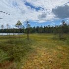 Naturreservat Grönklitt bei Orsa