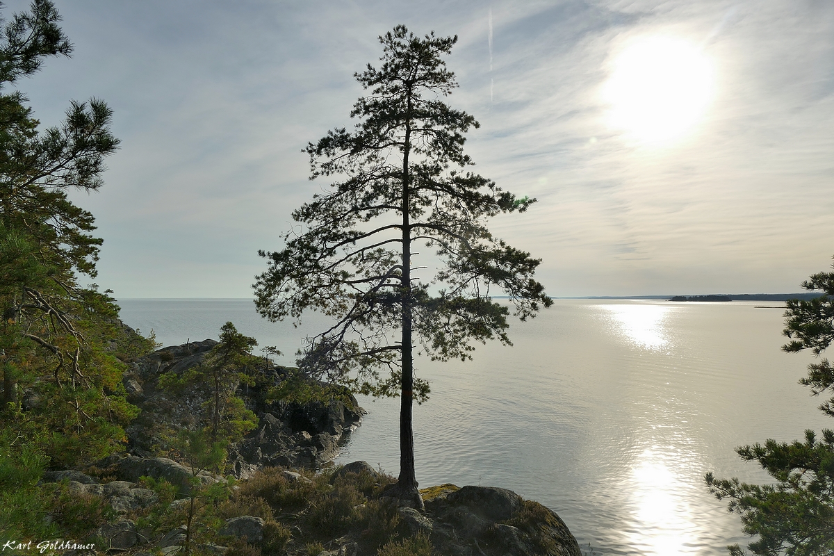 Naturreservat Harge uddar 2