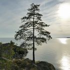 Naturreservat Harge uddar 2