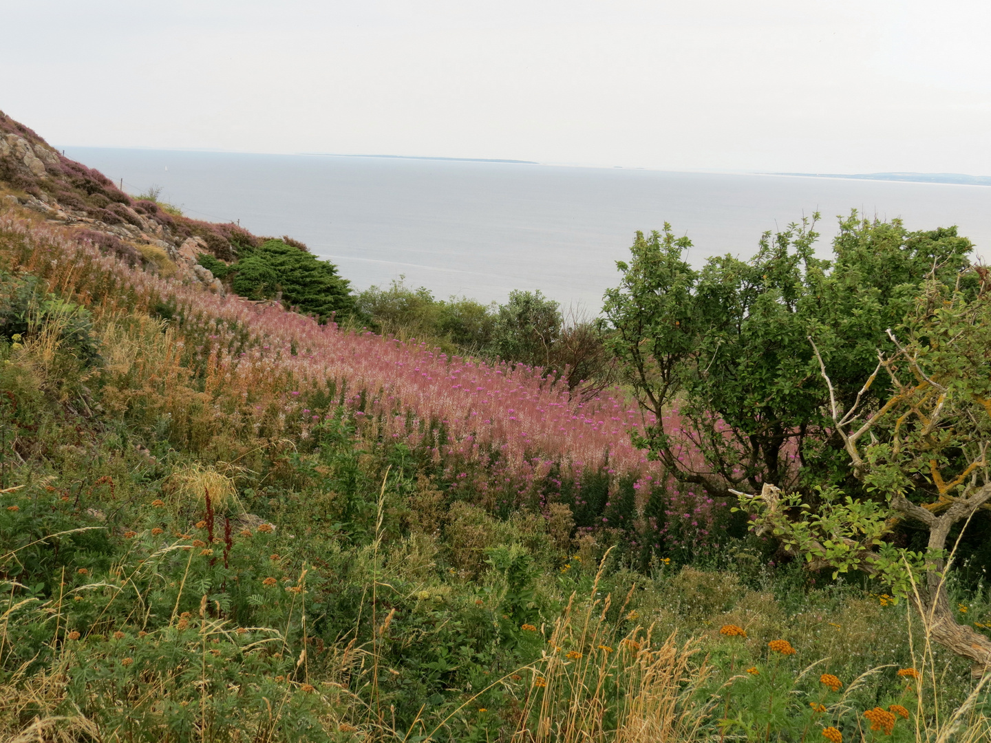 Naturreservat Kullaberg Schweden