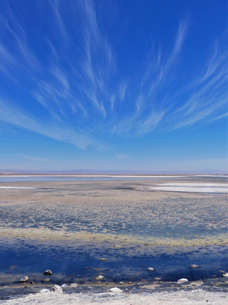 Naturreservat Laguna Chaxa 2