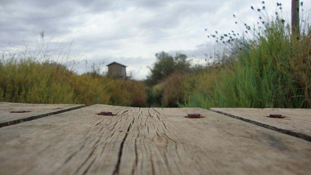 Naturreservat Mallorca