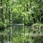 Naturreservat Spreewald