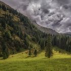 Naturreservat Vilsalpsee #2