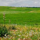 Naturreservate in Jordanien ...3