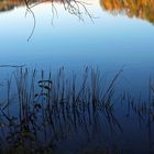 Naturreservoir