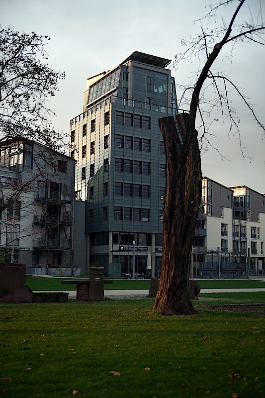 Naturreste in der Stadt