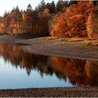 naturrost im spiegel